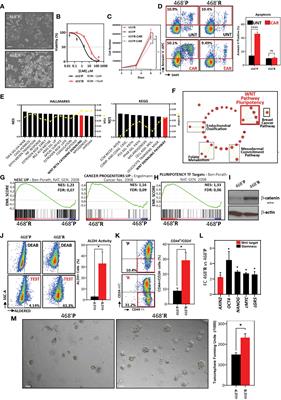 Wnt/β-Catenin Inhibition Disrupts Carboplatin Resistance in Isogenic Models of Triple-Negative Breast Cancer